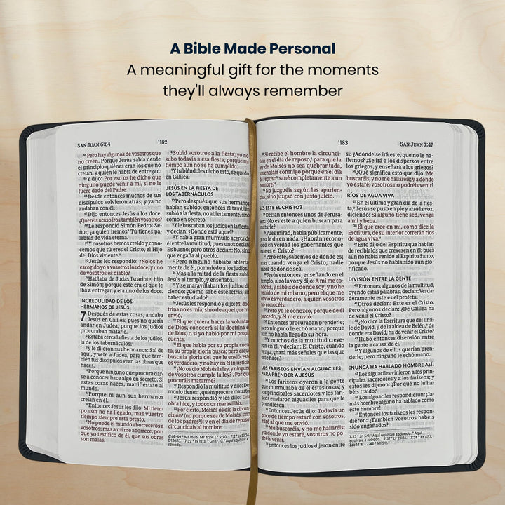 RVR1960 Black Standard Size Holy Bible Large Print