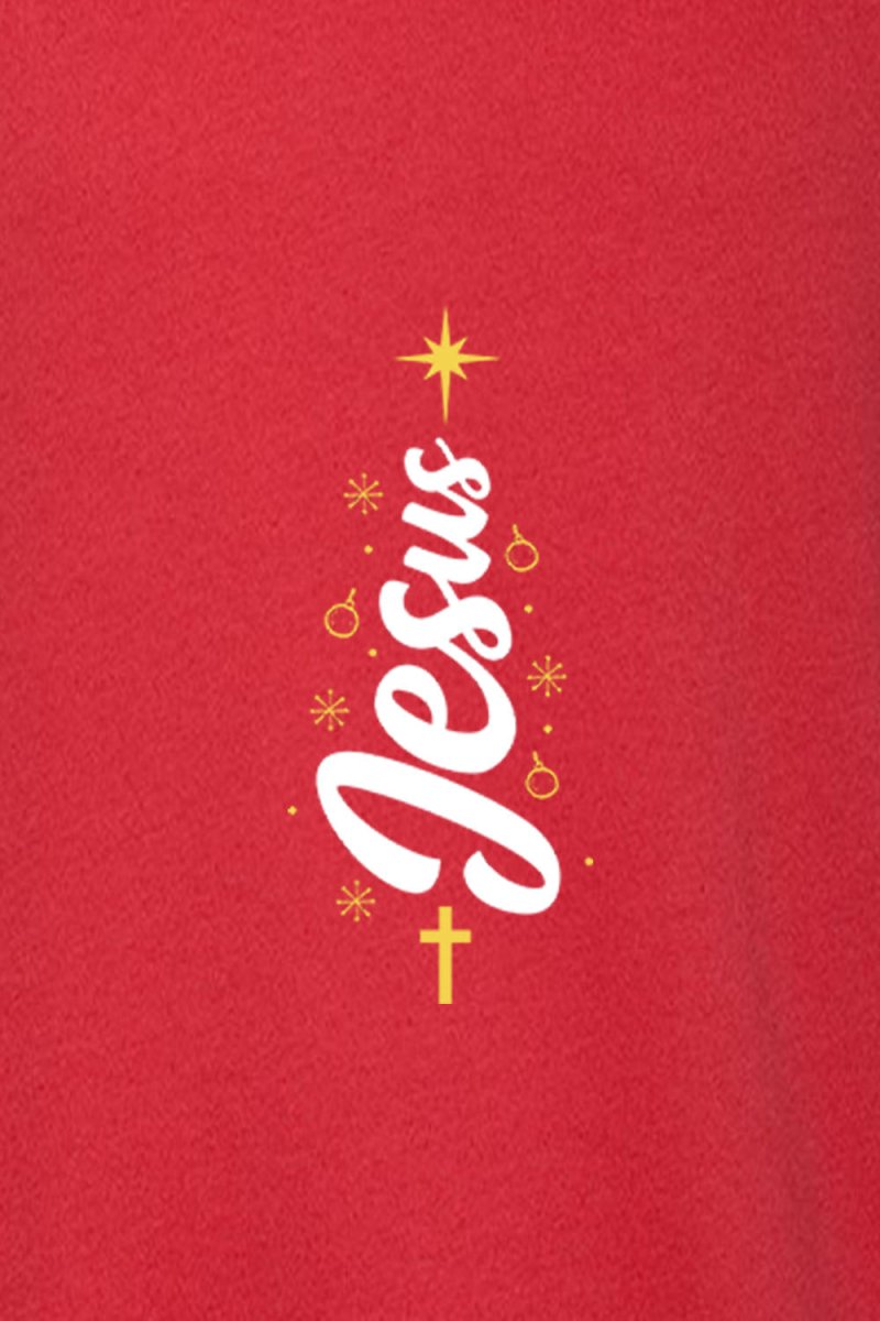 Jesus Unisex Sponge Fleece Raglan Crewneck Sweatshirt - Shepherds Shelf