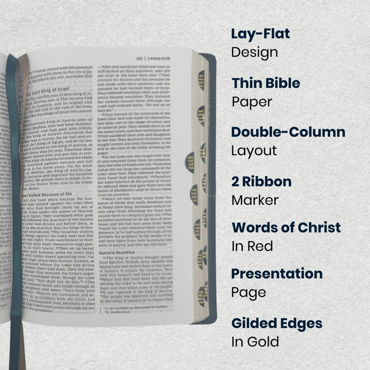 NIV Blue Standard Size Thinline Holy Bible Medium Print - Shepherds Shelf