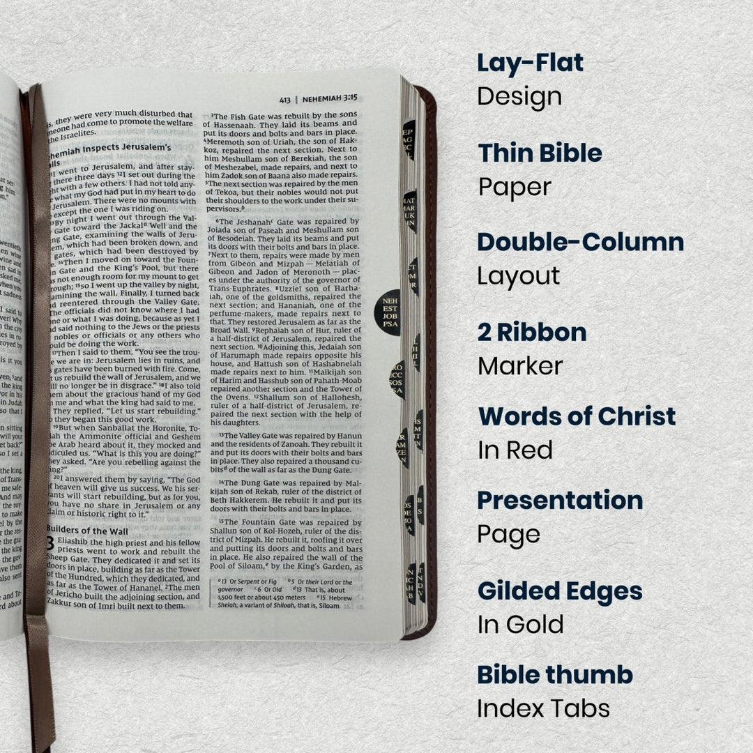 NIV Brown Standard Size Thinline Holy Bible Medium Print - Shepherds Shelf