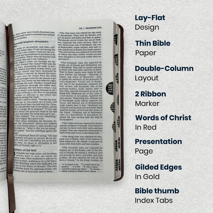 NIV Brown Standard Size Thinline Holy Bible Medium Print - Shepherds Shelf