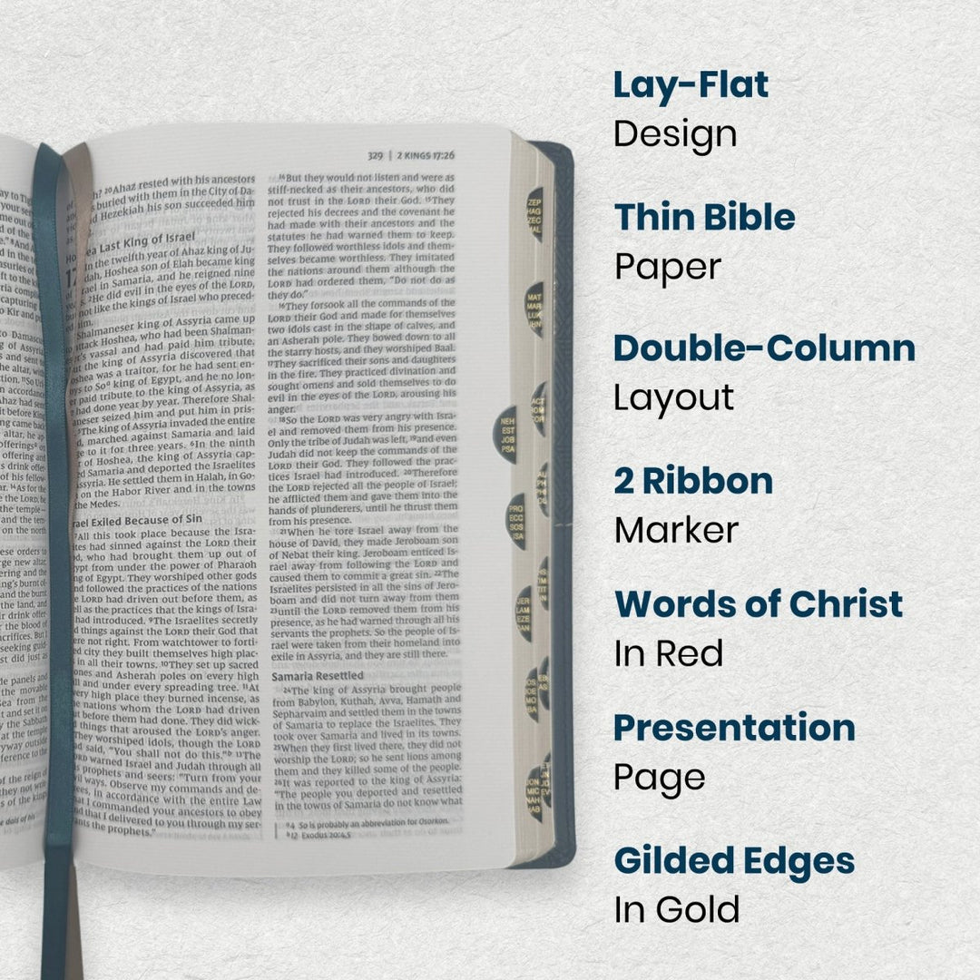 NIV Teal Standard Size Thinline Holy Bible Medium Print - Comfort Print - Shepherds Shelf