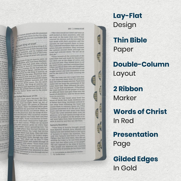 NIV Teal Standard Size Thinline Holy Bible Medium Print - Comfort Print - Shepherds Shelf