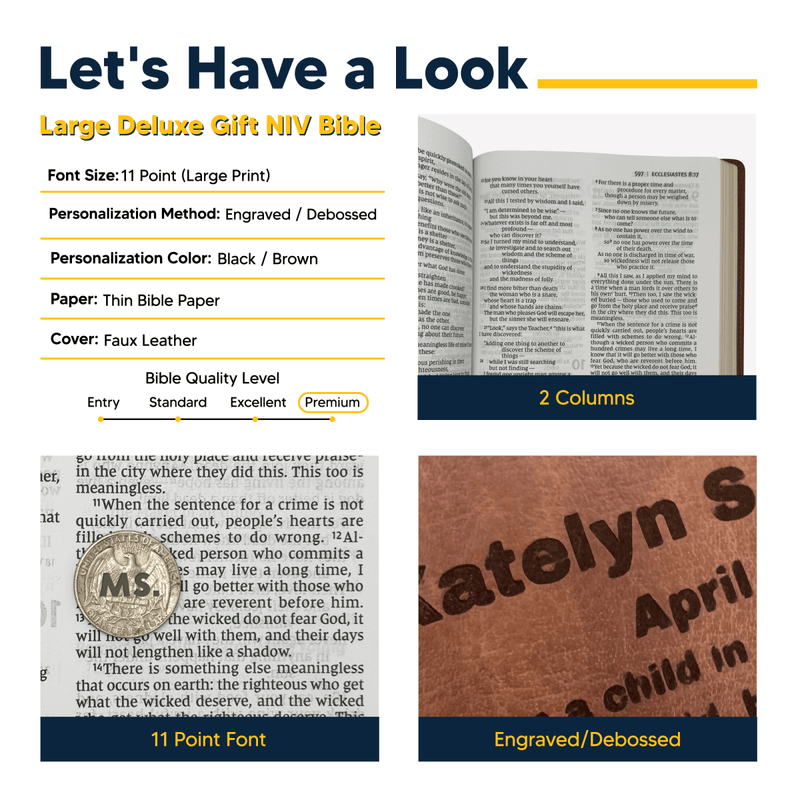NIV Brown Standard Size Thinline Holy Bible Large Print