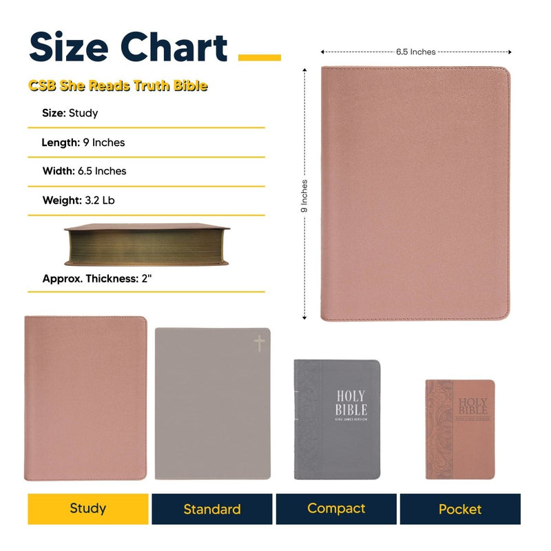CSB She Reads Rose Gold Study Size Holy Bible Medium Print Size | Team Jesus