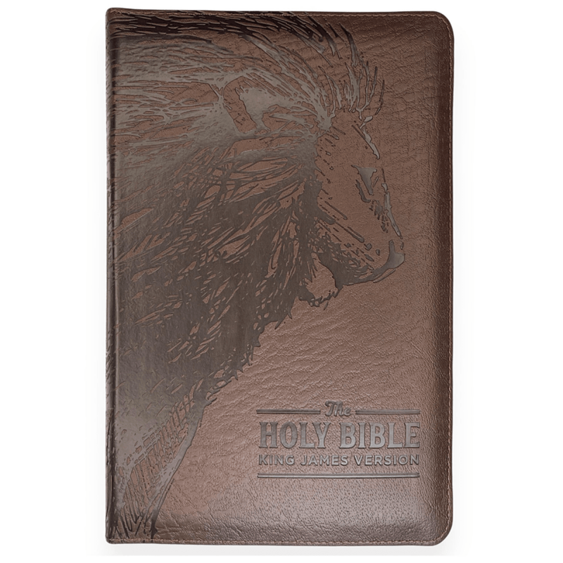 KJV Walnut Brown Standard Size Deluxe Holy Bible Medium Print