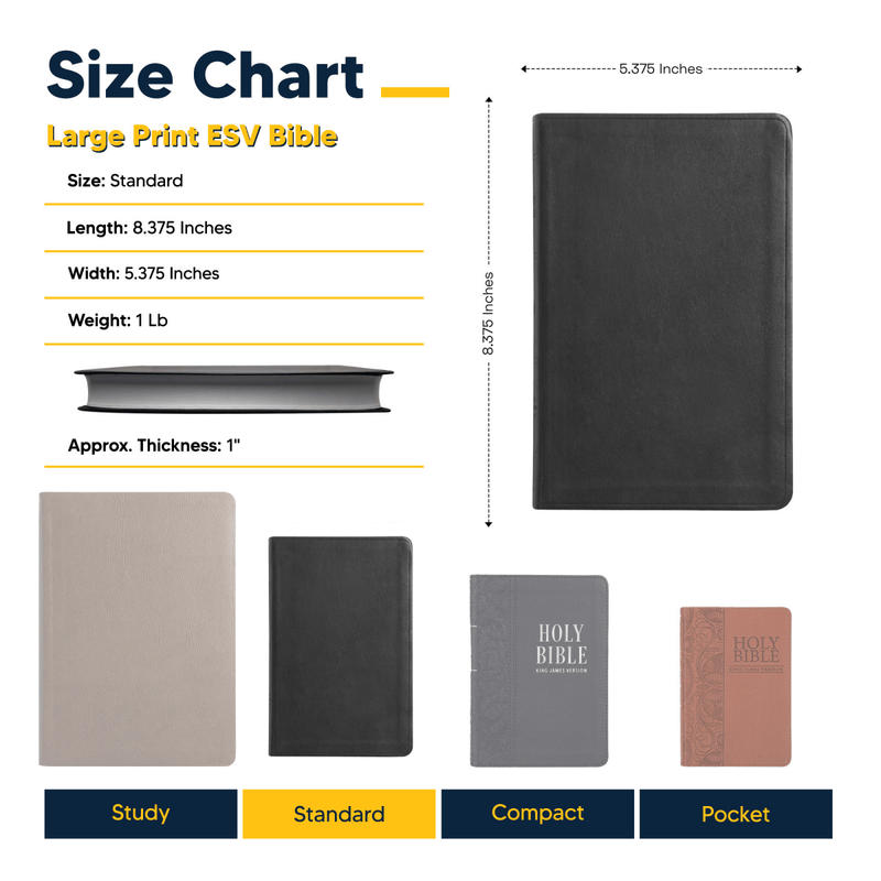 ESV Black Standard Size Portable Edition Holy Bible Large Print