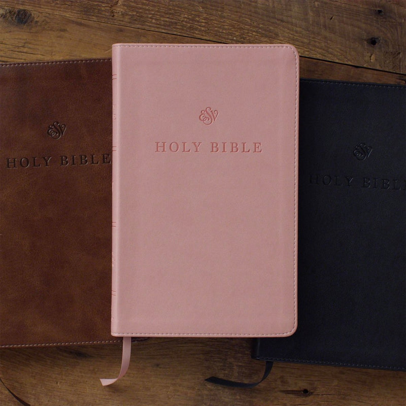 ESV Pink Standard Size Premium Holy Bible Small Print