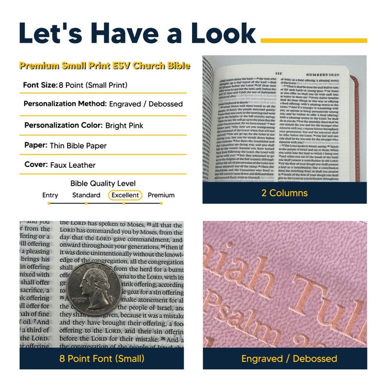ESV Pink Standard Size Premium Holy Bible Small Print