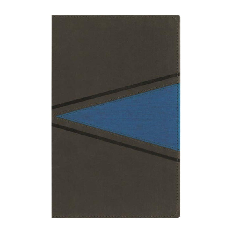 NIV Gray Standard Size Boys Holy Bible Medium Print