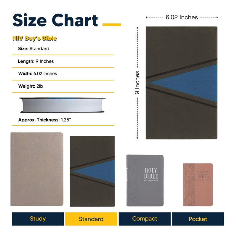 NIV Gray Standard Size Boys Holy Bible Medium Print