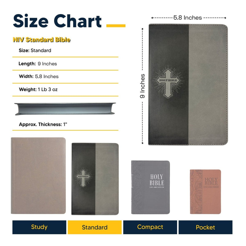 NIV Gray Standard Size Kids Holy Bible Medium Print