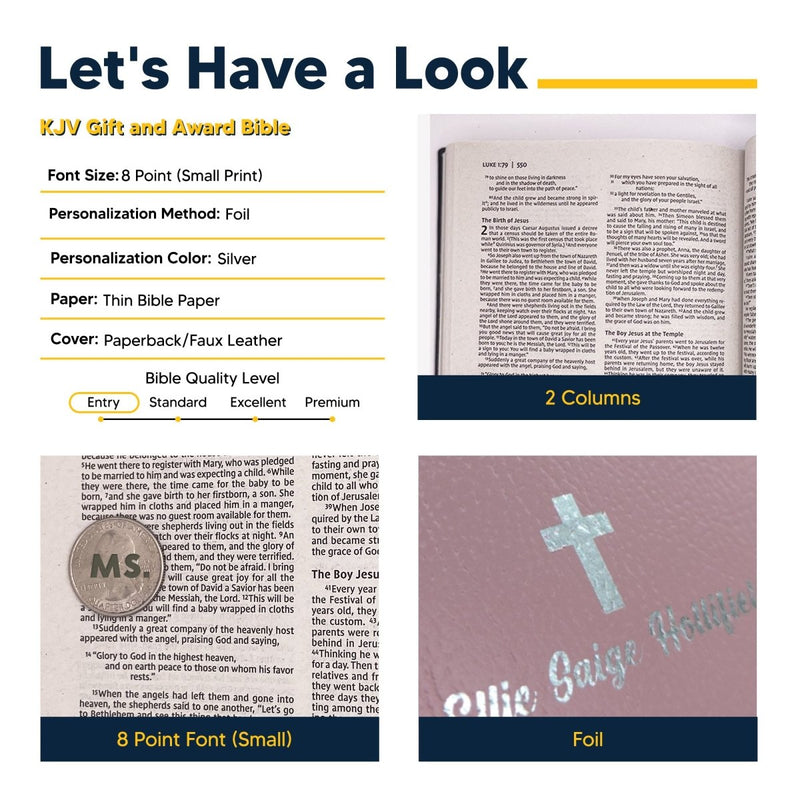 KJV Pink Standard Size Holy Bible Small Print