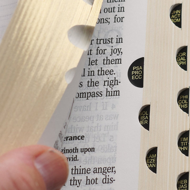 KJV Light Brown Study Size Holy Bible Large Print
