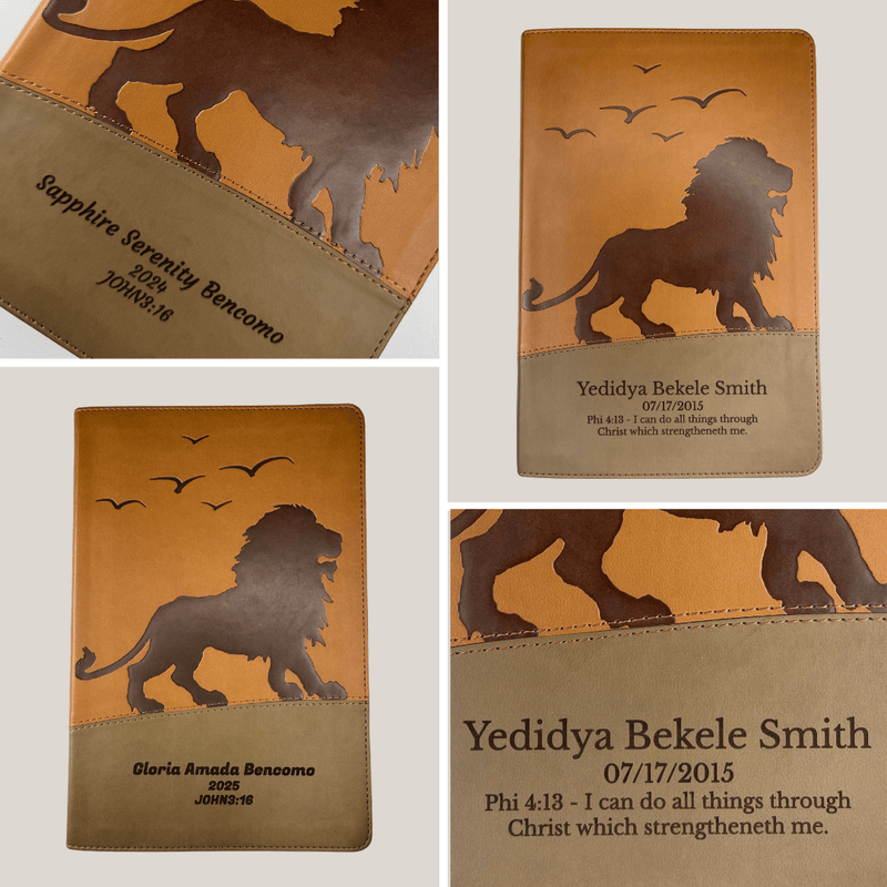 KJV Brown Standard Size Kids Holy Bible Medium Print | Regal Lion