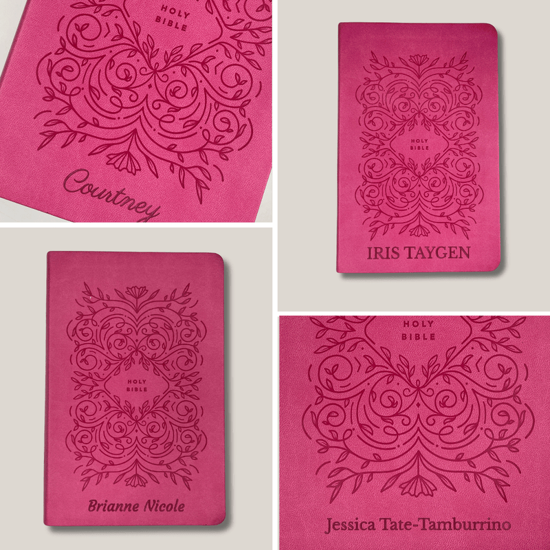 NLT Pink Standard Size Holy Bible Medium Print | Vine