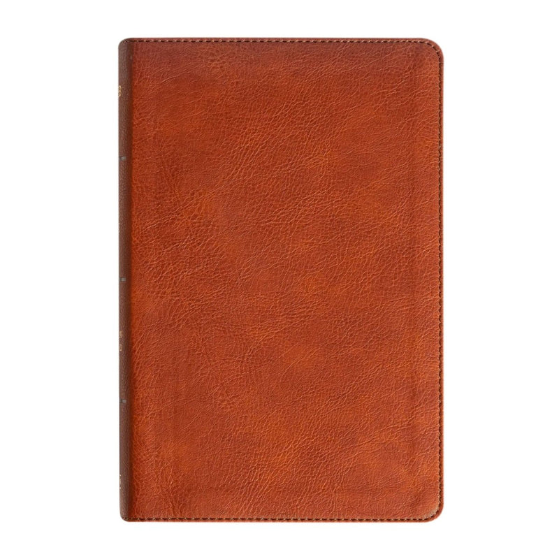 NASB Brown Standard Size Holy Bible Large Print