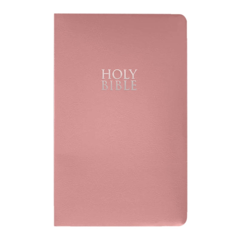 NIV Pink Standard Size Holy Bible Small Print