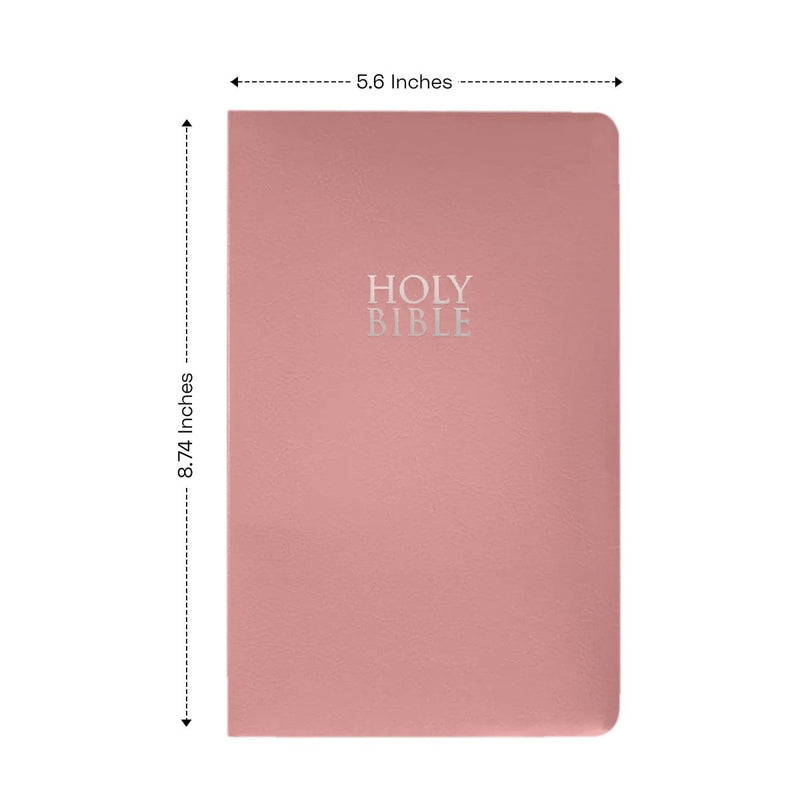 NIV Pink Standard Size Holy Bible Small Print