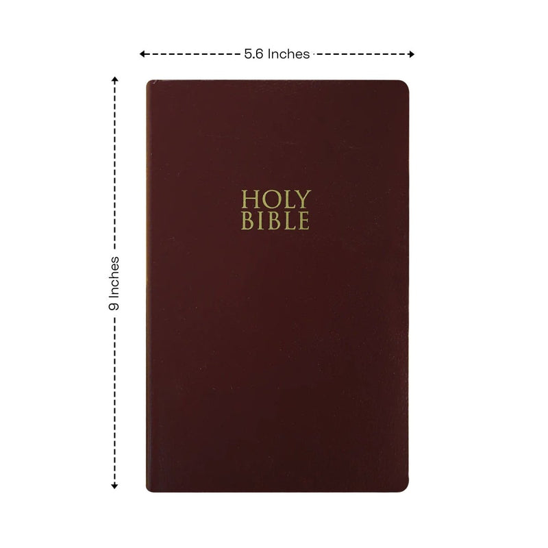 NIV Burgundy Standard Size Holy Bible Small Print
