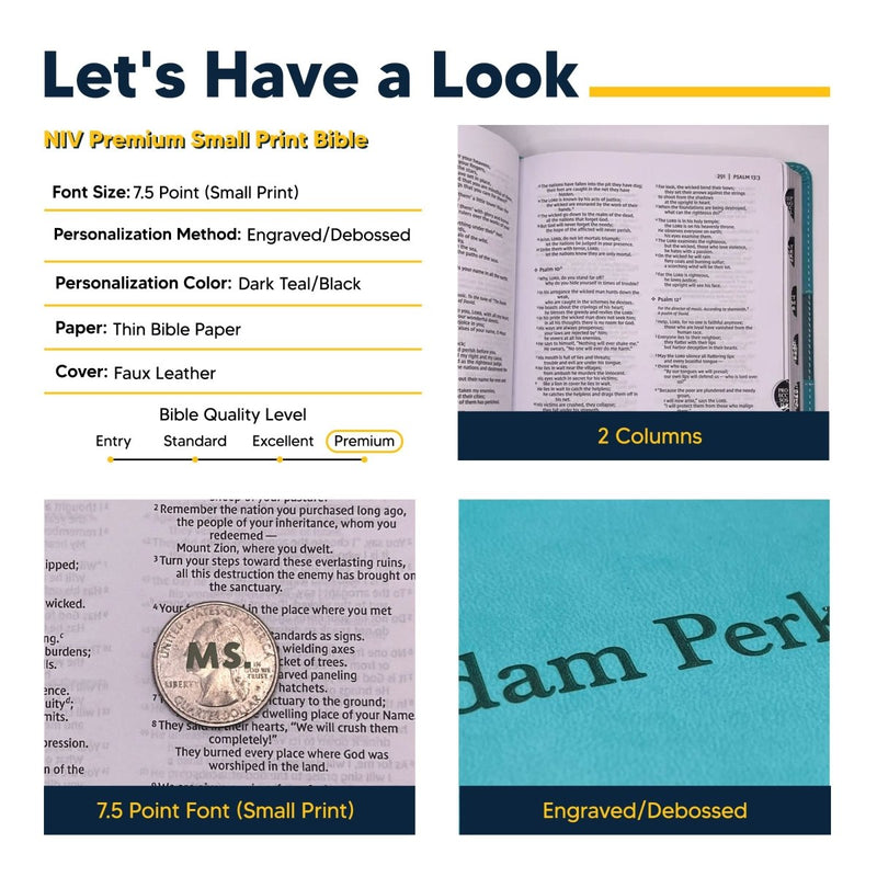 NIV Teal Standard Size Premium Indexed Holy Bible Small Print