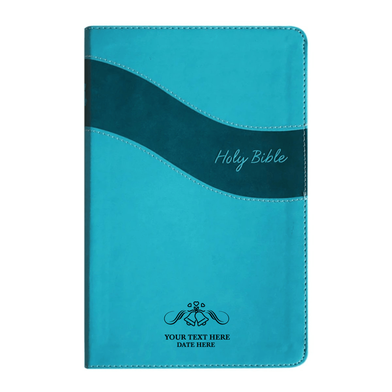 NIV Teal Standard Size Premium Indexed Holy Bible Small Print
