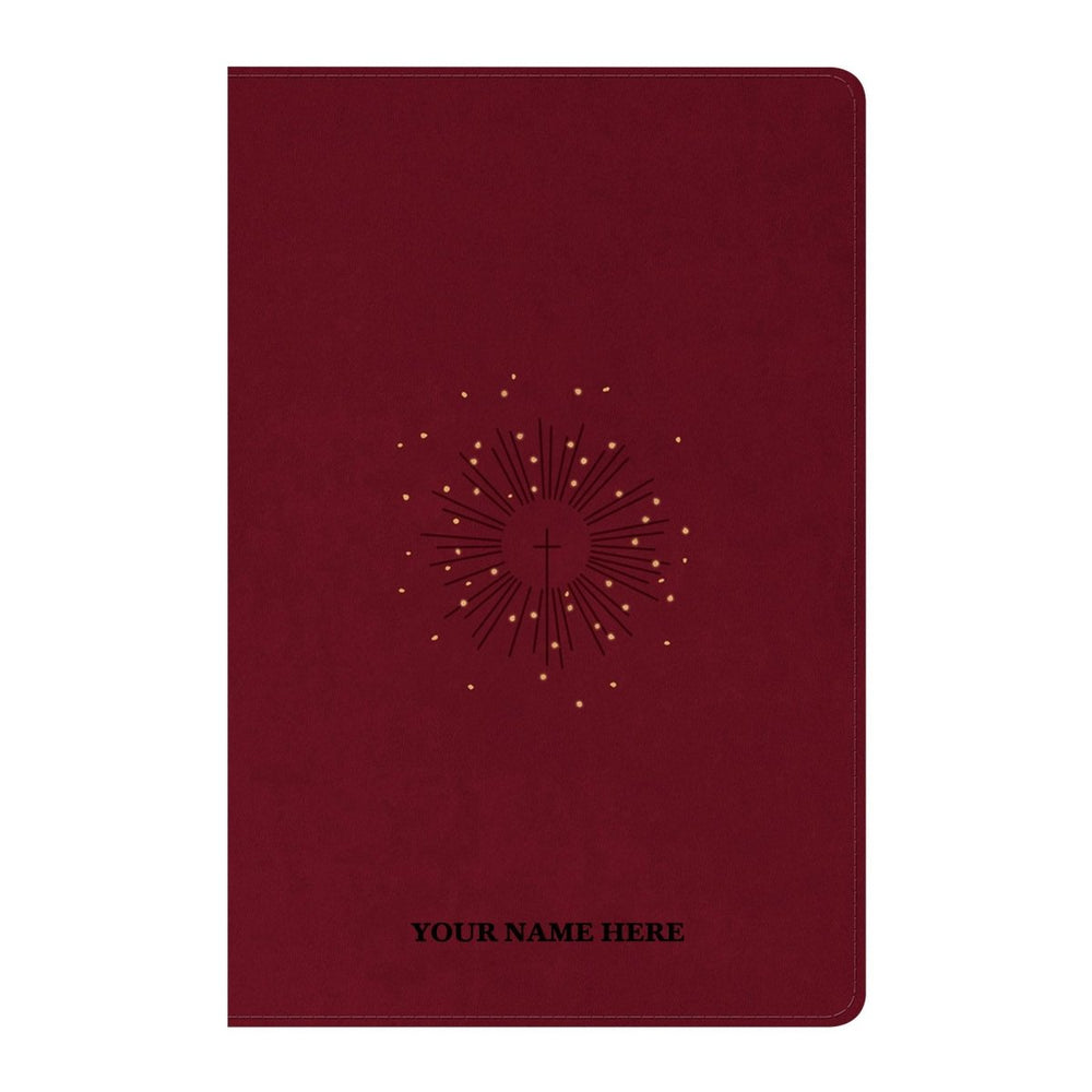 NLT Red Standard Size Premium Holy Bible Large Print