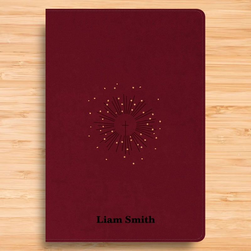 NLT Red Standard Size Premium Holy Bible Large Print