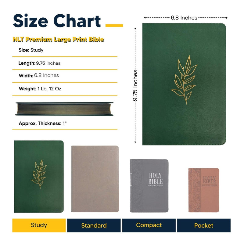 NLT Green Standard Size Premium Holy Bible Large Print