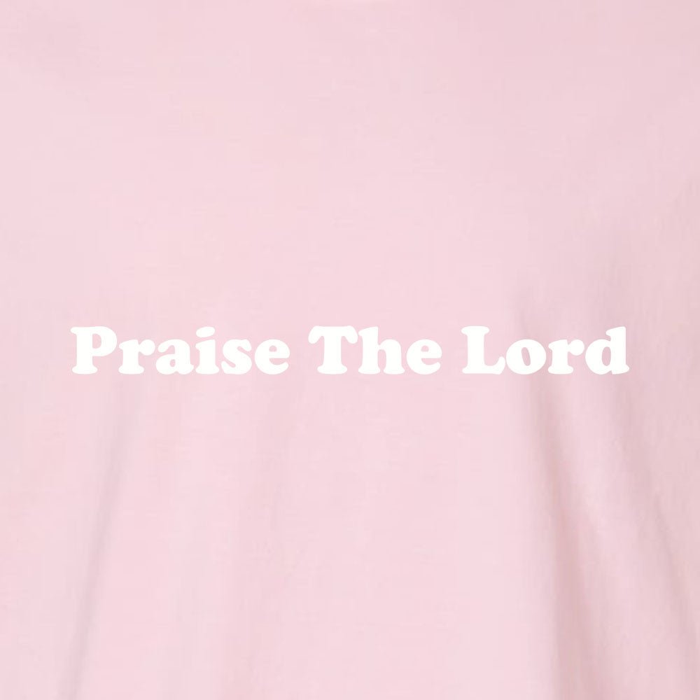Praise The Lord Unisex Garment - Dyed Tee - Shepherds Shelf