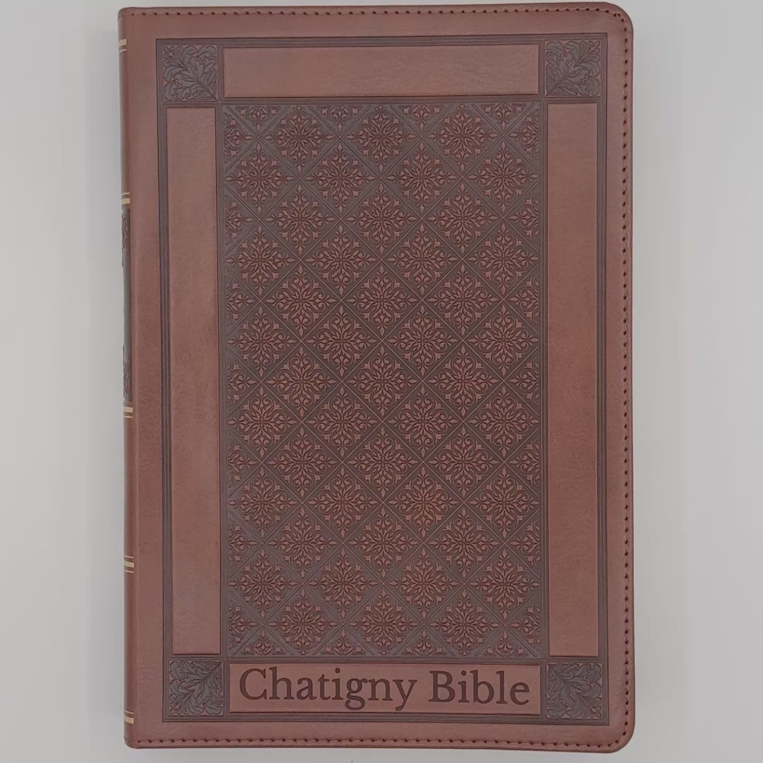 KJV Honey Brown Study Size Holy Bible Giant Print