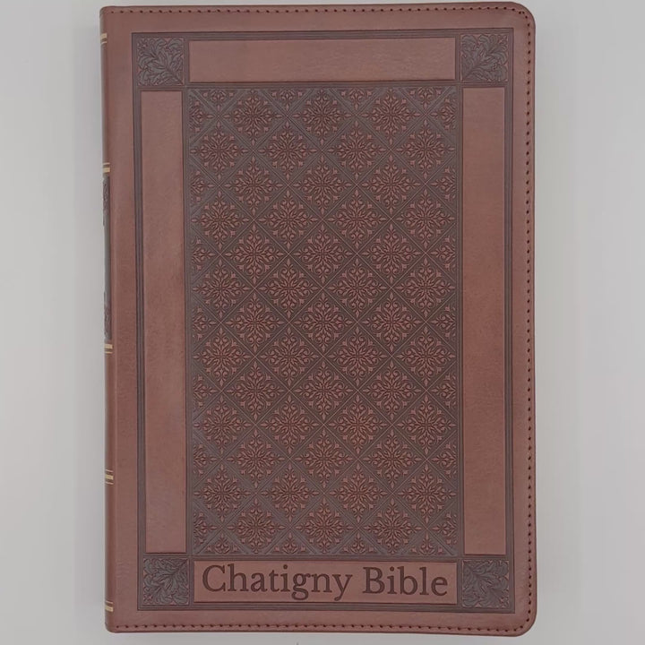KJV Honey Brown Study Size Holy Bible Giant Print