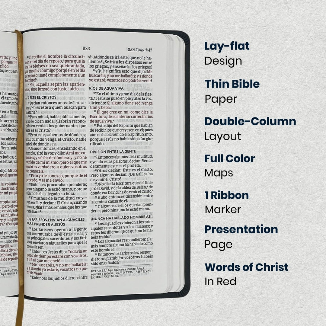 RVR1960 Black Standard Size Holy Bible Large Print - Shepherds Shelf