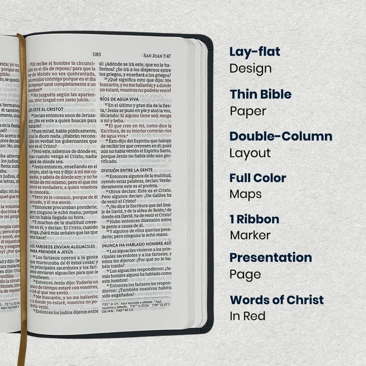 RVR1960 Black Standard Size Holy Bible Large Print - Shepherds Shelf