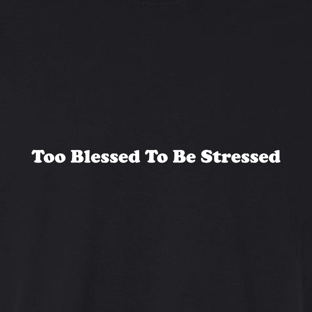 Too Blessed To Be Stressed Unisex Garment - Dyed Tee - Shepherds Shelf