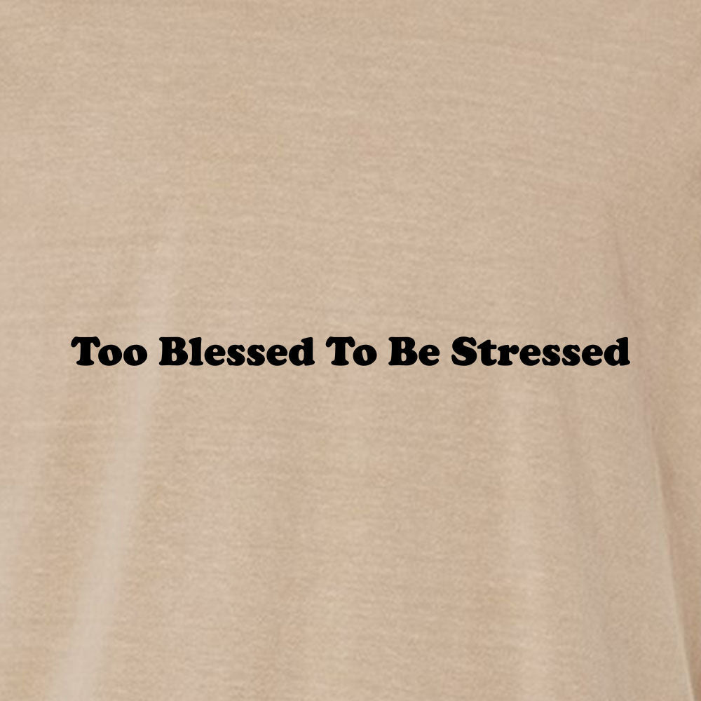 Too Blessed To Be Stressed Unisex Garment - Dyed Tee - Shepherds Shelf
