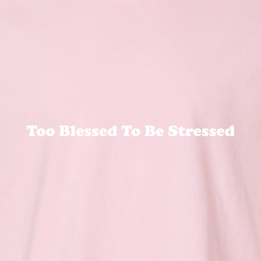 Too Blessed To Be Stressed Unisex Garment - Dyed Tee - Shepherds Shelf