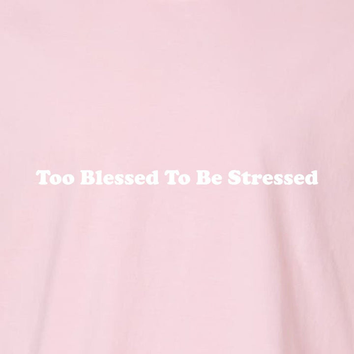 Too Blessed To Be Stressed Unisex Garment - Dyed Tee - Shepherds Shelf