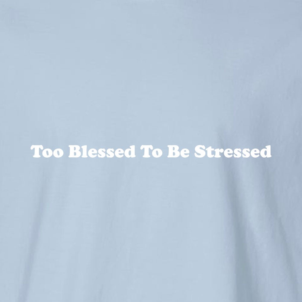 Too Blessed To Be Stressed Unisex Garment - Dyed Tee - Shepherds Shelf