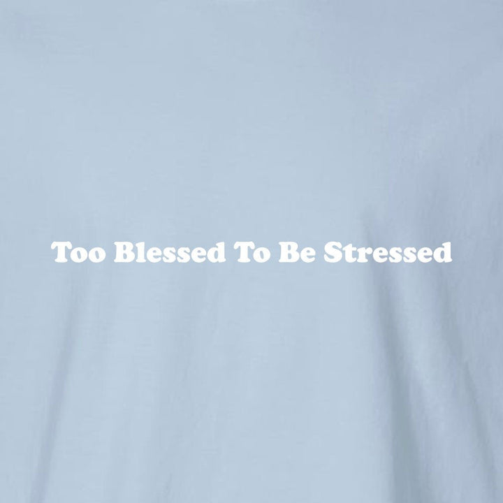 Too Blessed To Be Stressed Unisex Garment - Dyed Tee - Shepherds Shelf
