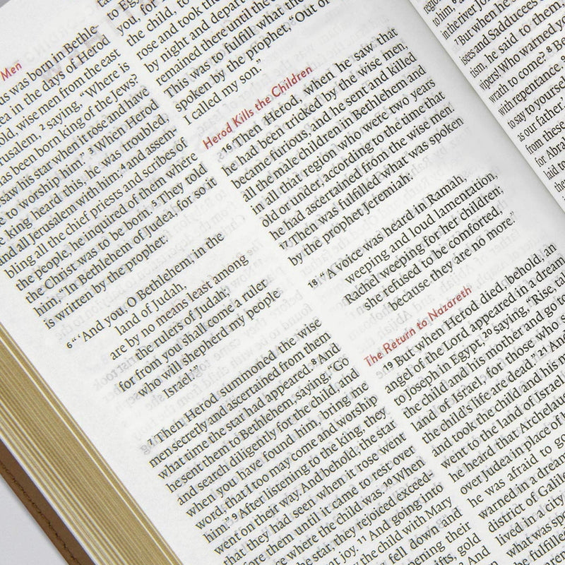 ESV Green Compact Size Kids Holy Bible Small Print