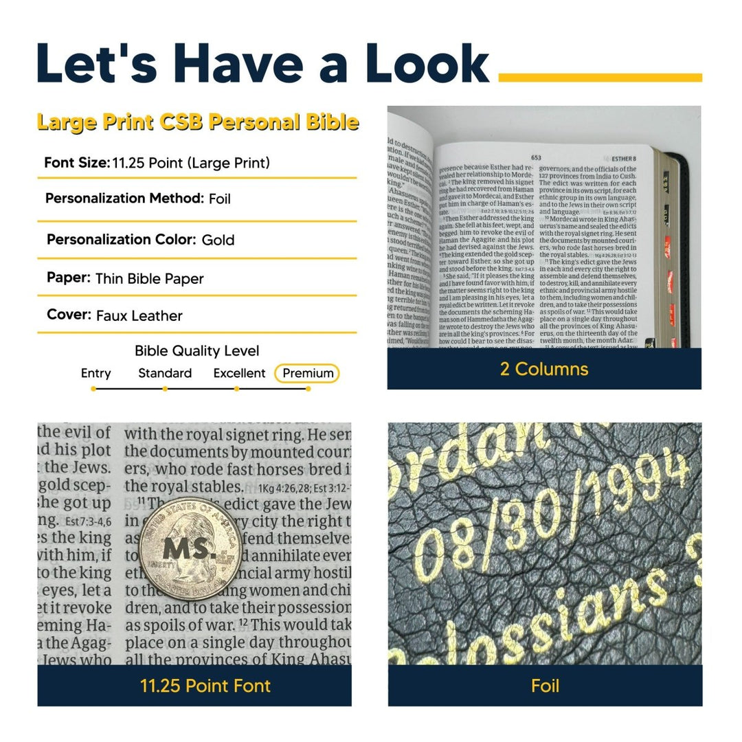 CSB Black Standard Size Christian Standard Holy Bible Large Print