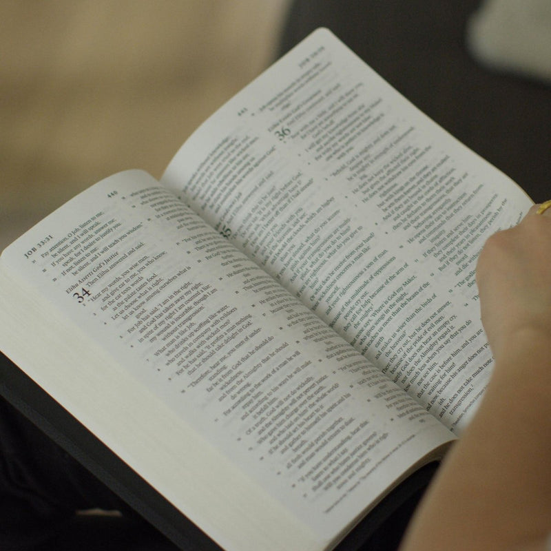 ESV Dark Brown Standard Size Holy Bible Medium Print | Royal Lion
