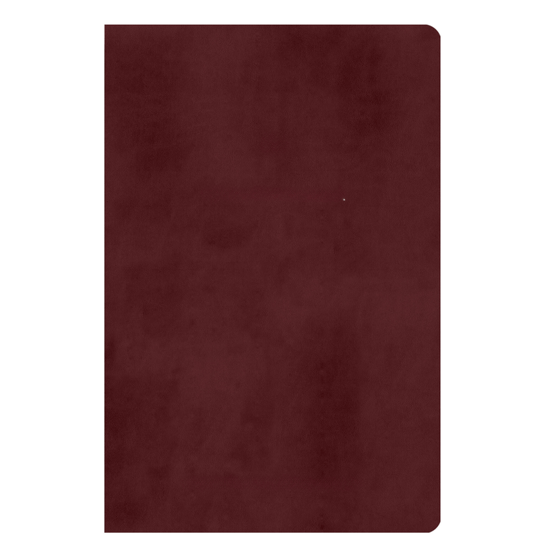 ESV Burgundy Standard Size TruTone Holy Bible Small Print