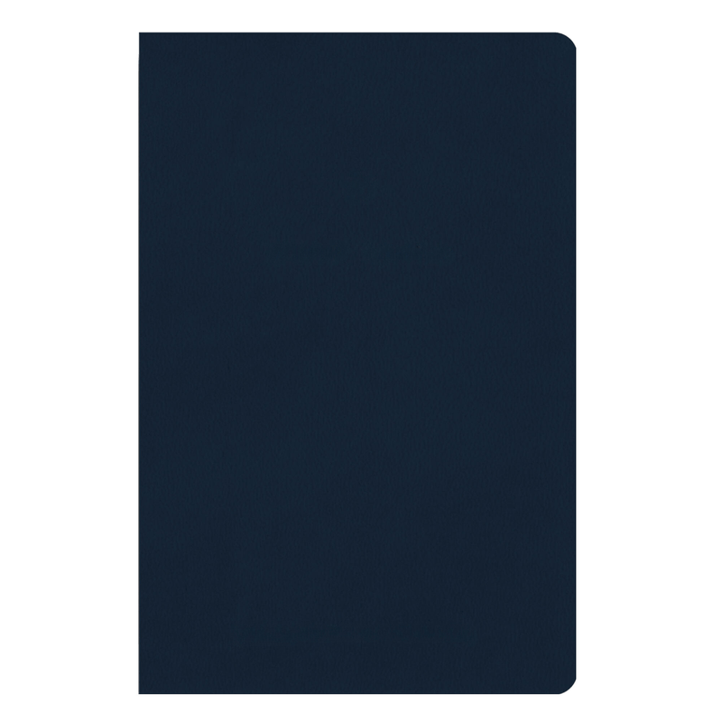 ESV Blue Standard Size TruTone Holy Bible Small Print