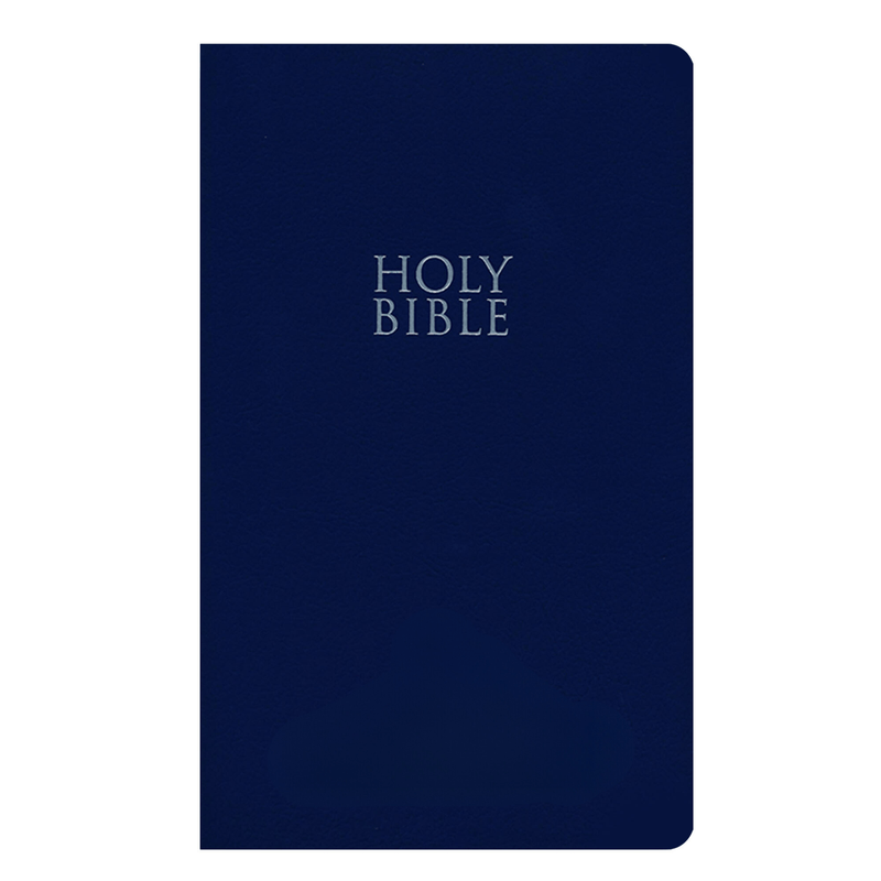 NIV Blue Standard Size Holy Bible Small Print