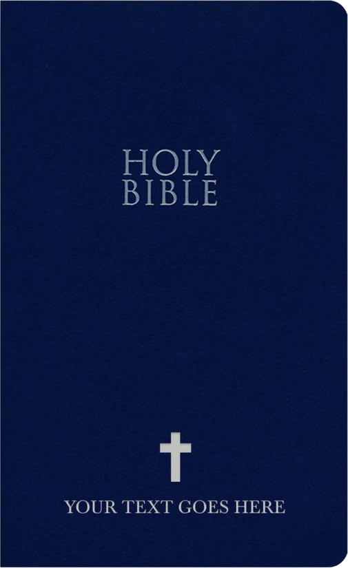 NIV Blue Standard Size Holy Bible Small Print