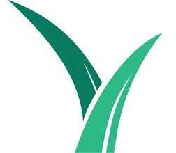 Life Church Buffalo logo