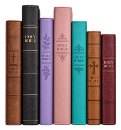 Seven Bible spines in varied colors and sizes