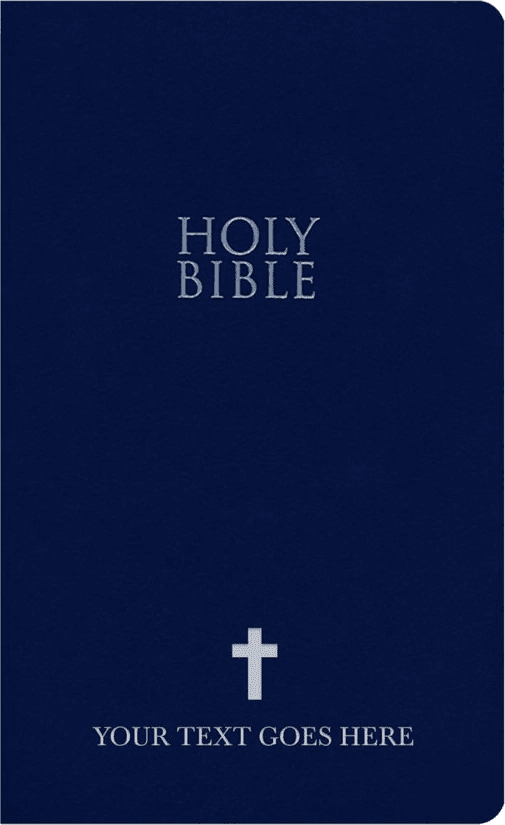NIV Blue Standard Size Holy Bible Small Print
